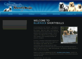 shorty-bulls.com