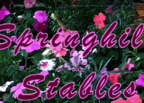 Springhill-stables.com
