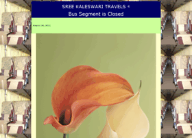 sreekaleswaritravels.com