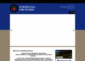 Striblingorchard.com