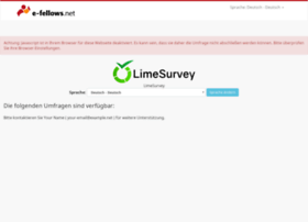 Surveys.e-fellows.net