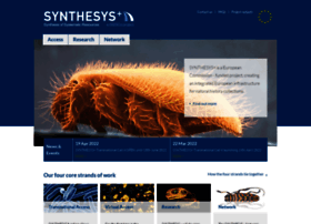 synthesys.info