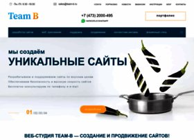 team-b.ru