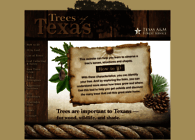 Texastreeid.tamu.edu
