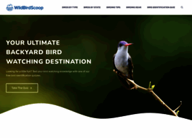 the-scoop-on-wild-birds-and-feeders.com