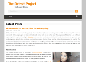 thedetroitproject.com