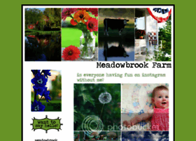 themeadowbrookblog.blogspot.com