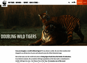 Tigers.panda.org
