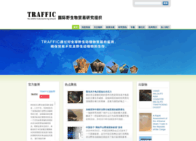 trafficchina.org
