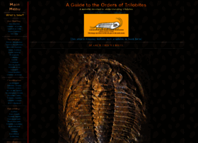 trilobites.info