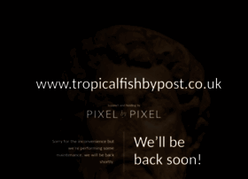 Tropicalfishbypost.co.uk