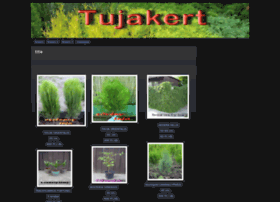tujakert.webs.com