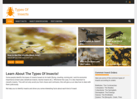 Typesofinsects.com