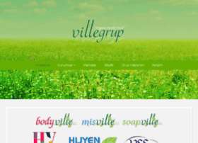 villegrup.com