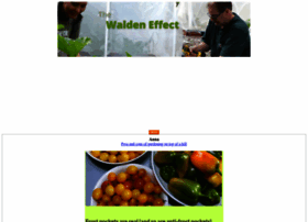 waldeneffect.org