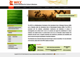 Wfcc.info