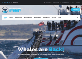 whalewatchingsydney.net