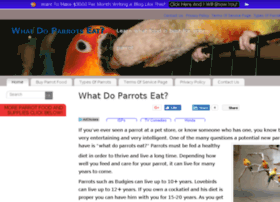 what-do-parrots-eat.com