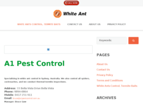 white-ant.com.au