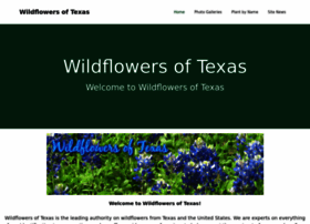 wildflowersoftexas.com