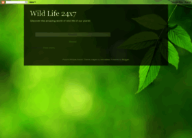 wildlife24x7.blogspot.com