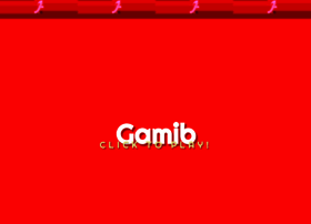wsh.gamib.com