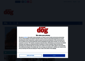 yourdog.co.uk