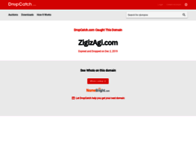zigizagi.com